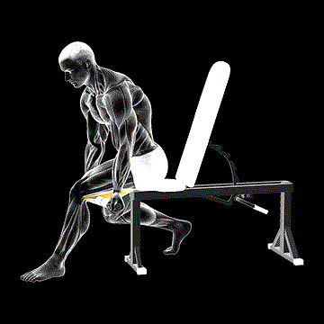 Tiger Tail Hamstring demonstration