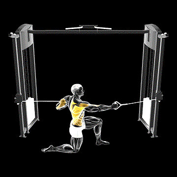 Cable Half-Kneeling Push Pull demonstration