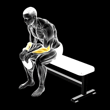 Weighted Seated Reverse Wrist Curl demonstration
