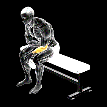 Weighted Seated One-Arm Reverse Wrist Curl demonstration
