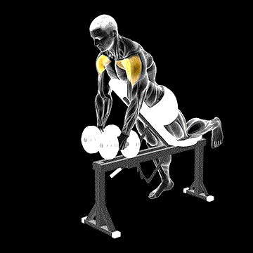 Dumbbell Incline Two Front Raise (w/ Chest Support) demonstration