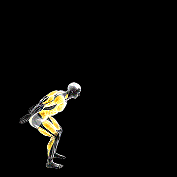 Broad Jump to Vertical demonstration