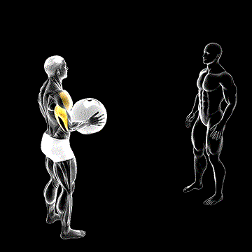 Medicine Ball Overhead Throw demonstration