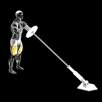 Landmine Front Squat demonstration