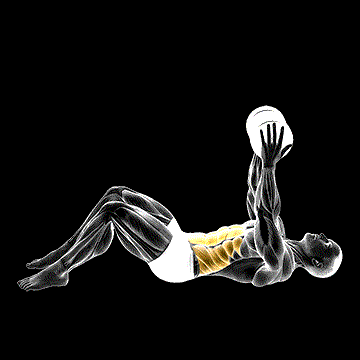Dumbbell Straight Arm Crunch demonstration