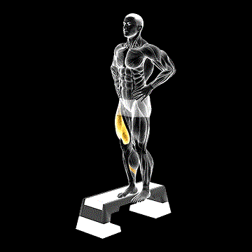 Stepdown Squat demonstration