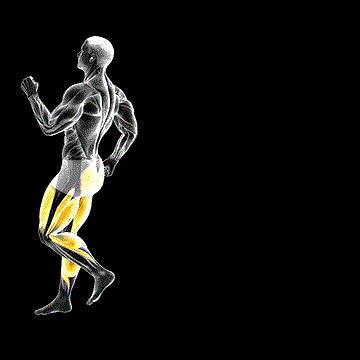Backwards Run demonstration