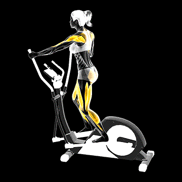 Walking on Elliptical Machine demonstration