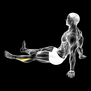 Feet and Ankles Rotation Stretch demonstration