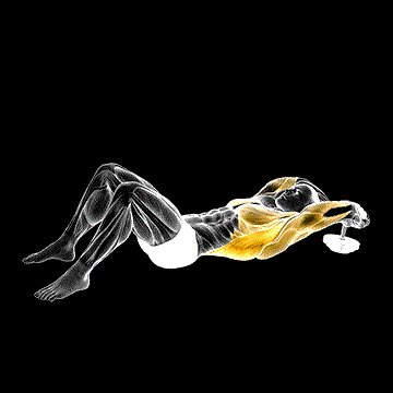 Dumbbell Pullover on Floor demonstration