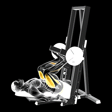 Sled Vertical Leg Press demonstration