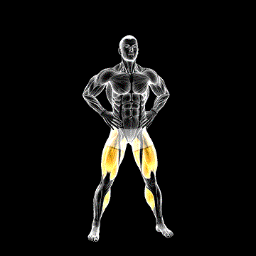 Standing Scissors demonstration