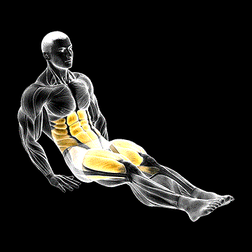 Reverse Crunch Kick demonstration