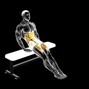 Bench Reverse Crunch Circle demonstration