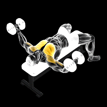 Dumbbell Twisted Fly demonstration