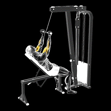 Cable Incline Close-Grip Curl demonstration