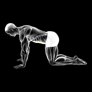 Abdominal 4 Points demonstration