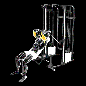 Cable Incline Skull Crusher demonstration