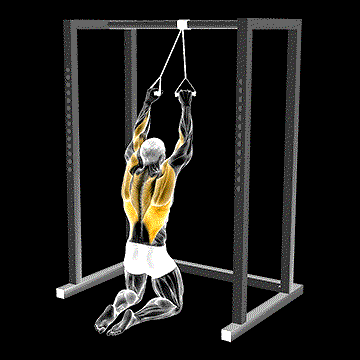 Band Kneeling Lat Pulldown demonstration