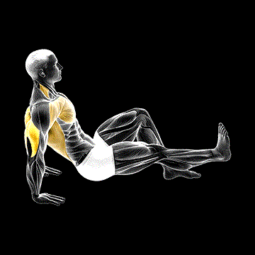 One-Leg Dip demonstration