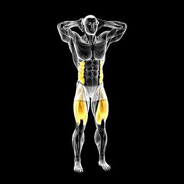 Standing Side Crunch demonstration