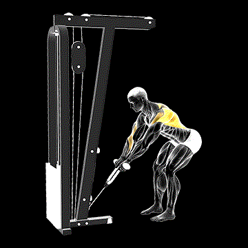 Cable Bent-over Row (w/ Rope Attachment) demonstration