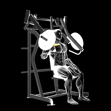 Lever Incline One-Arm Chest Press demonstration