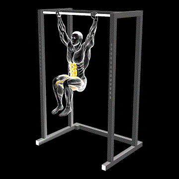 Hanging Deadbug demonstration