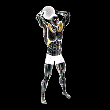 Medicine Ball Around Head Rotation demonstration