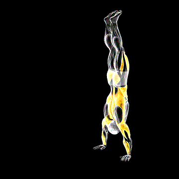 Handstand Walk demonstration