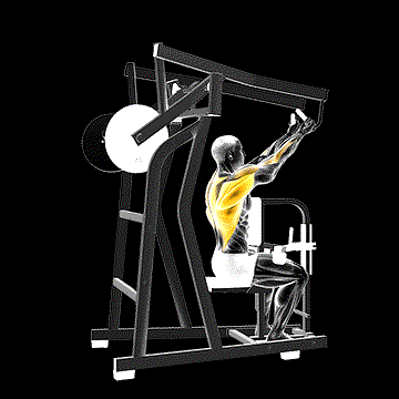 Lever Reverse-Grip High Row demonstration