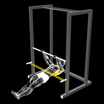 Band Inverted Row demonstration
