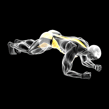 Hip Roll Plank demonstration