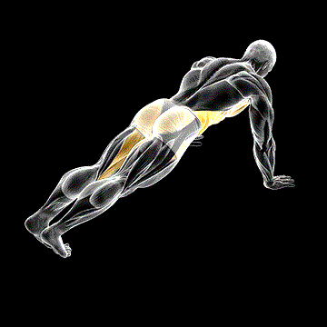 Leg Extension Plank demonstration