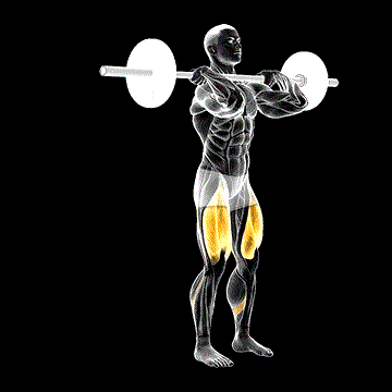 Barbell Front-Rack Rear Lunge demonstration