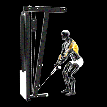 Cable Low Row (w/ Rope Attachment) demonstration