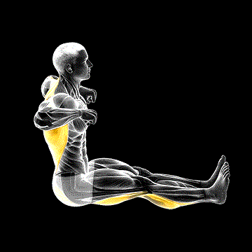 Rowing Boat Yoga Pose demonstration