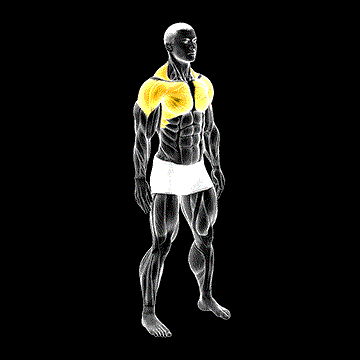 Shoulder Circle demonstration