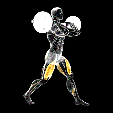 Barbell Front Rack Split Squat demonstration