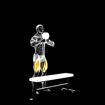 Kettlebell Step-up demonstration