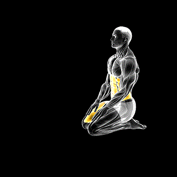Tiger Yoga Pose demonstration