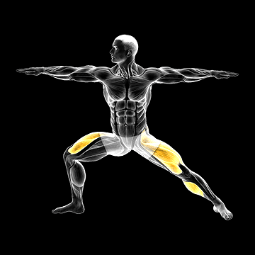 Warrior II Yoga Pose demonstration