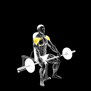 Barbell Seated High Front Raise demonstration