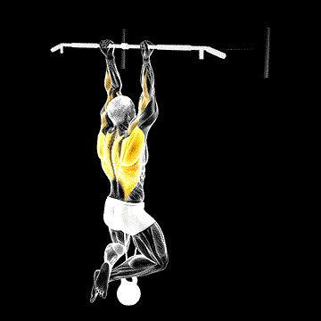 Band Resisted Chin-up demonstration