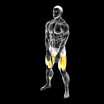 Sumo Squat Floor Touch demonstration