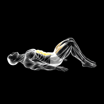 Lying Leg Raise (Modified) demonstration