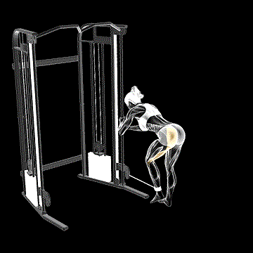 Cable Donkey Kickback demonstration