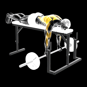 Barbell Lying Close-Grip Underhand Row on Rack demonstration