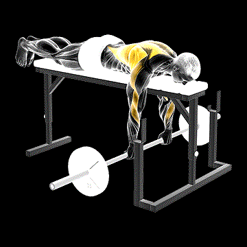 Barbell Lying Close-Grip Overhand Row on Rack demonstration