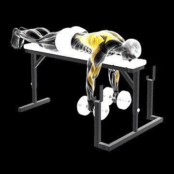 Dumbbell Lying Close-Grip Parallel Row on Rack demonstration